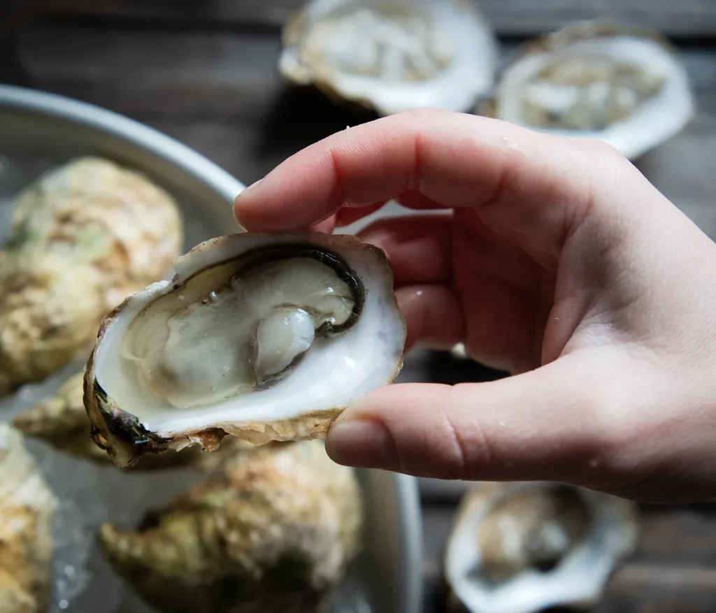 Closeup of hand holding open oyster